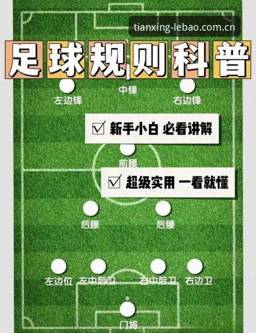 乐宝体育官网入口 中国足球反腐风暴下,球迷必备的赛事观察与平台安全指南